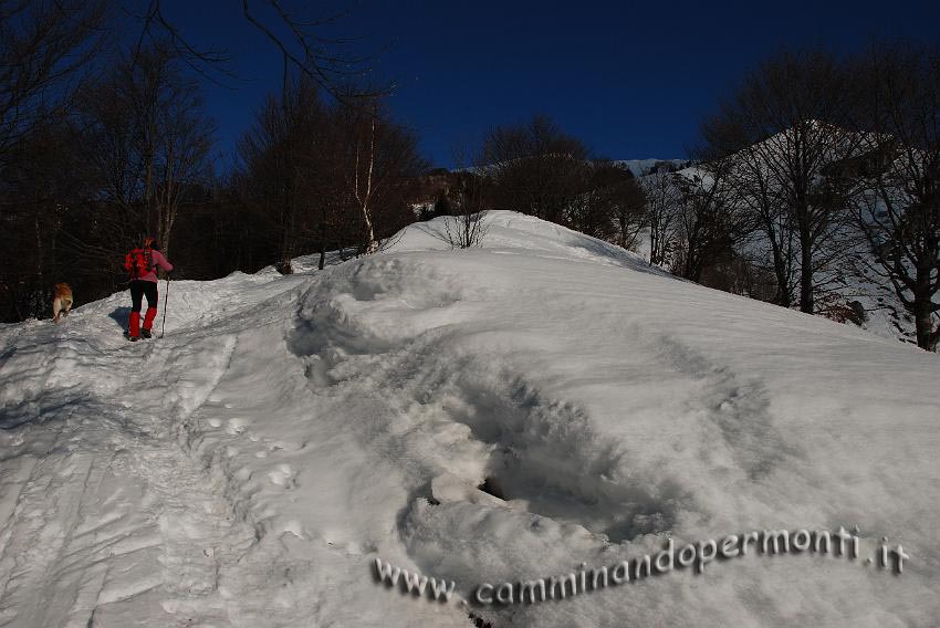 11 Salendo verso il Passo dell'Orso.jpg